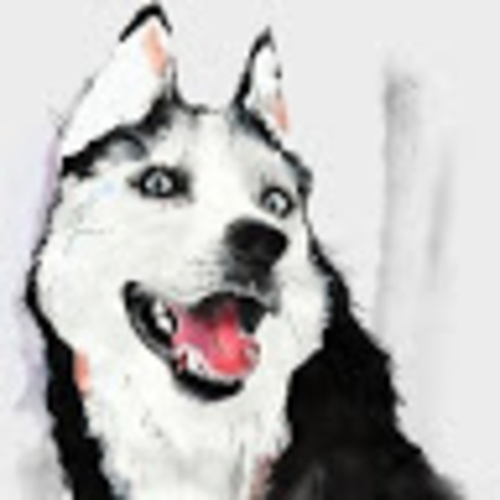 Meet your Posher, Adi